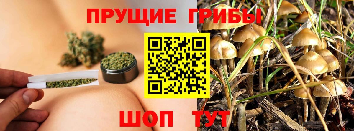 Псилоцибиновые грибы мухоморы  Галлюциногенные грибы GOLDEN TEACHER  закладка  Вход с VPN  Кимовск 